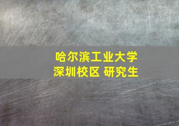 哈尔滨工业大学深圳校区 研究生